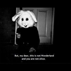 Meet your Posher, Ainsley